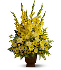 Teleflora's Sunny Memories from Backstage Florist in Richardson, Texas